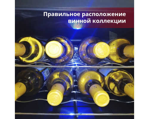 Винный шкаф Cold Vine C8-TBF1
